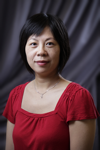 Wenli Gao was accepted to the Data and Visualization Institute for Librarians.